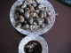 First visit (223).JPG